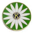 Click for a detailed image